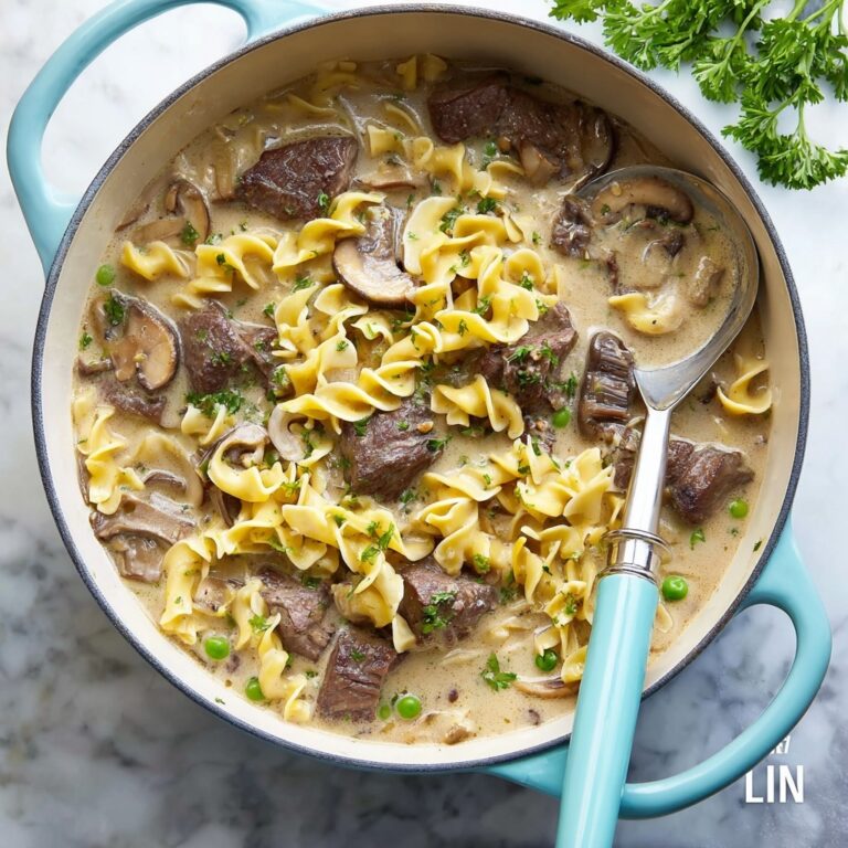 Beef Stroganoff Soup Recipe